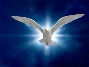 holy-spirit-dover-blue-background-sacraments